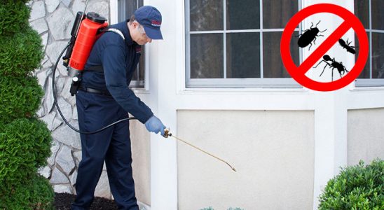 Ünye Karınca İlaçlama böcek ilaçlama ve haşere kontrolü — ilaclama-tr.com